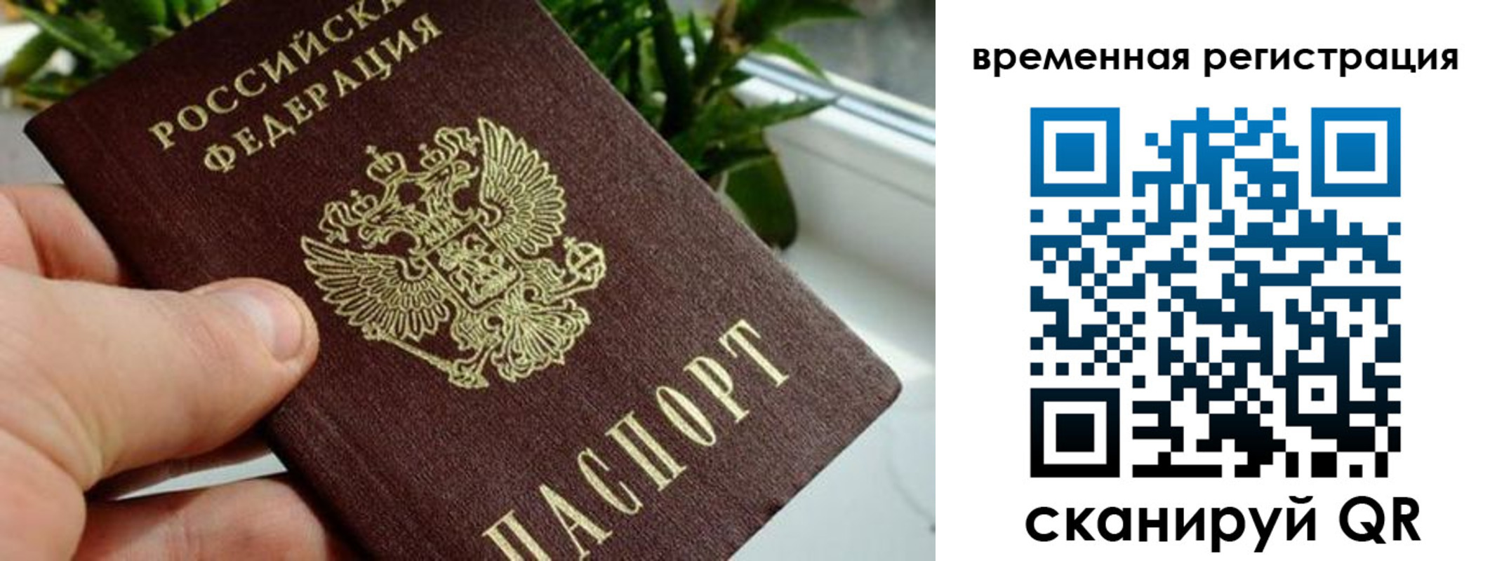 прописка поиск в Добрянке